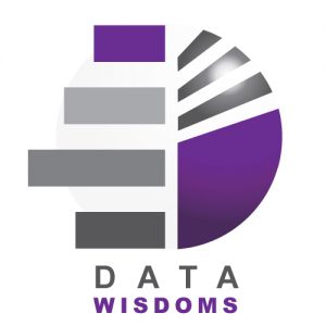 data-wisdoms